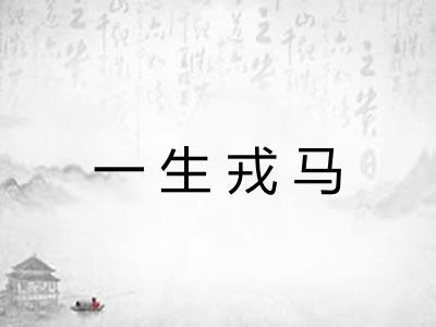 一生戎马