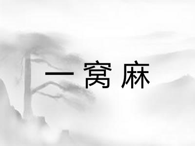 一窝麻