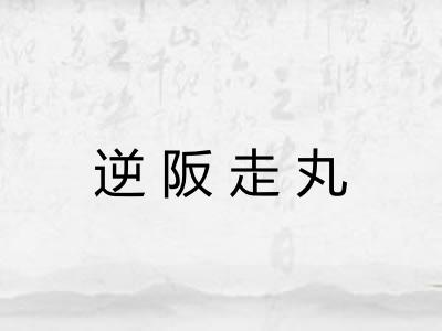 逆阪走丸