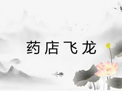 药店飞龙