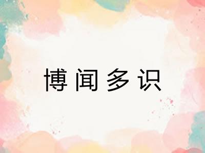 博闻多识