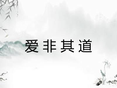爱非其道