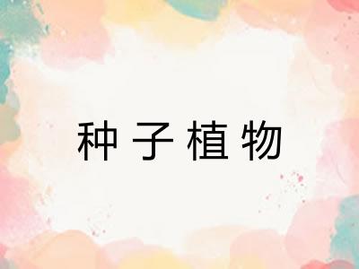 种子植物