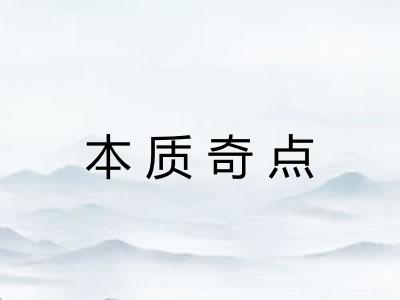 本质奇点