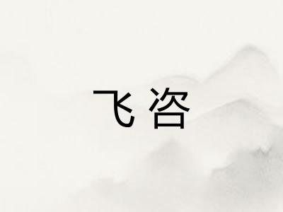飞咨