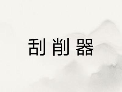 刮削器