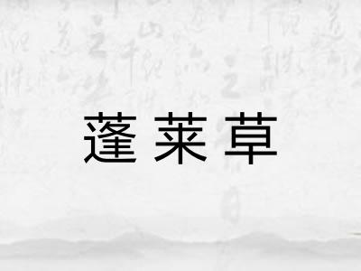 蓬莱草
