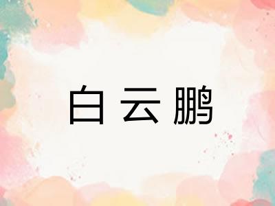 白云鹏