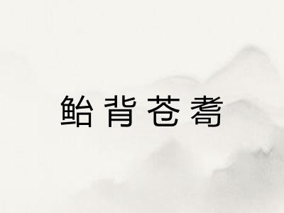 鲐背苍耈