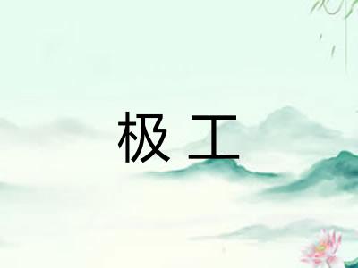 极工