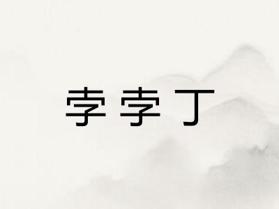 孛孛丁