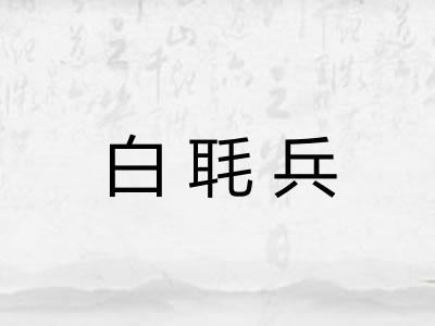 白毦兵