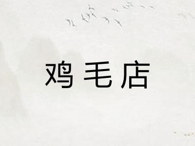 鸡毛店