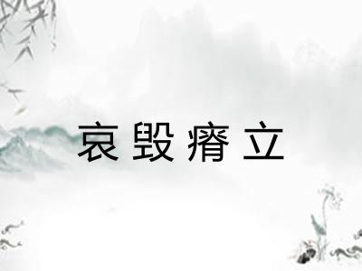 哀毁瘠立