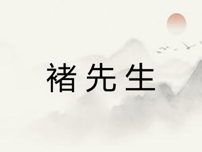 褚先生