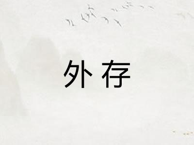 外存