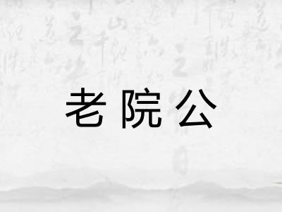老院公