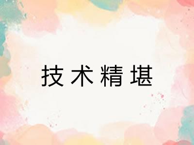 技术精堪