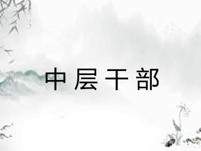 中层干部