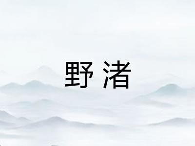 野渚