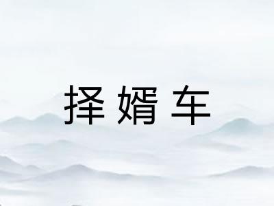 择婿车