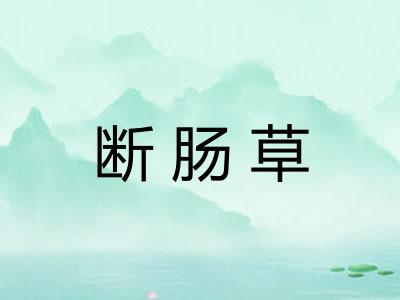 断肠草