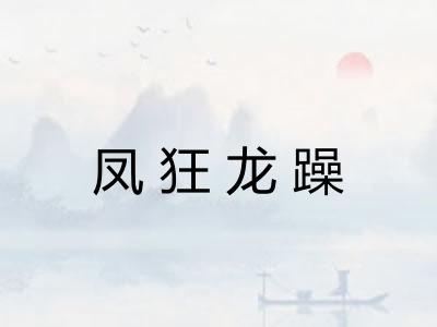 凤狂龙躁