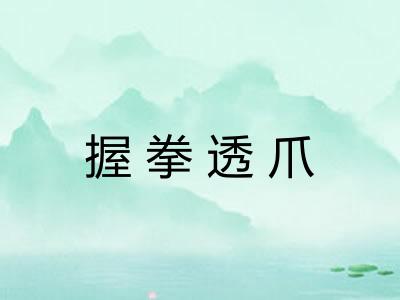 握拳透爪