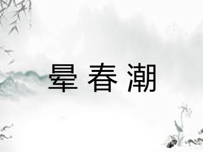 晕春潮