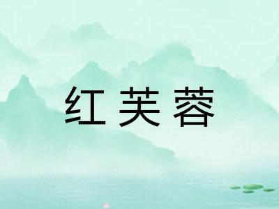 红芙蓉