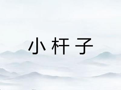 小杆子