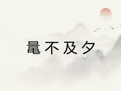 鼌不及夕