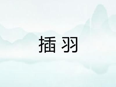 插羽