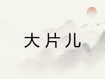 大片儿