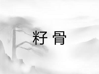 籽骨