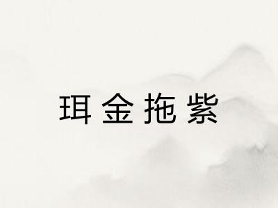 珥金拖紫