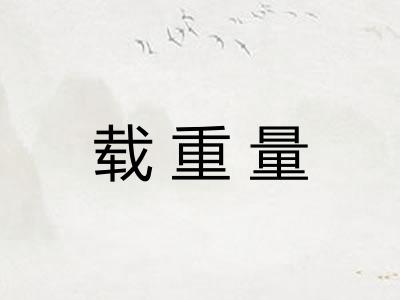 载重量