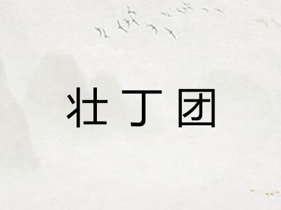 壮丁团