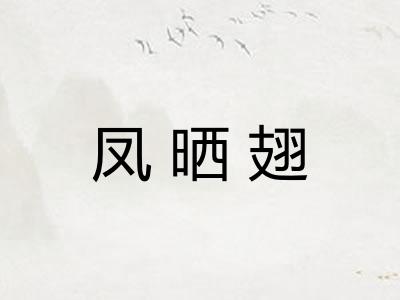 凤晒翅