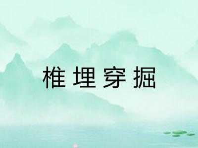 椎埋穿掘