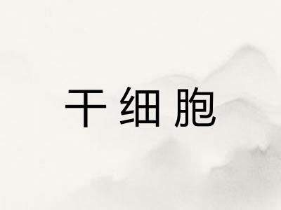 干细胞