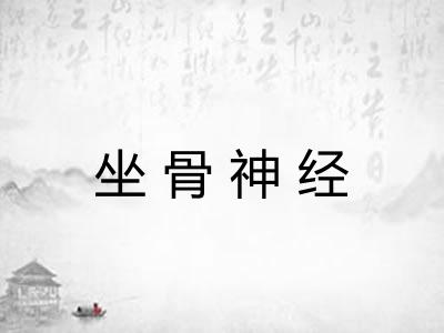 坐骨神经