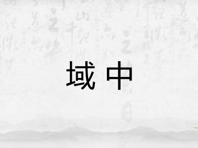 域中