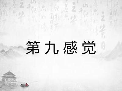 第九感觉