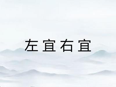 左宜右宜