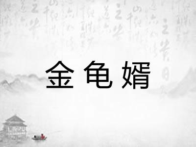 金龟婿