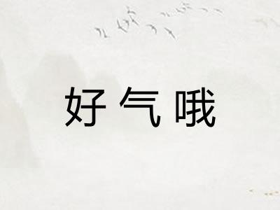 好气哦