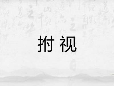 拊视