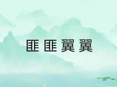 匪匪翼翼