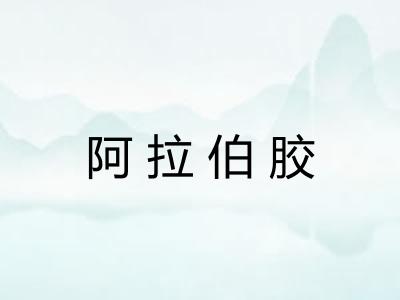 阿拉伯胶